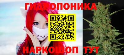 mdpv Бийск