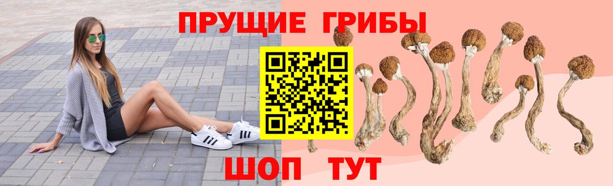 Гусиноозёрск  Псилоцибиновые грибы Magic Shrooms  Вход с VPN 